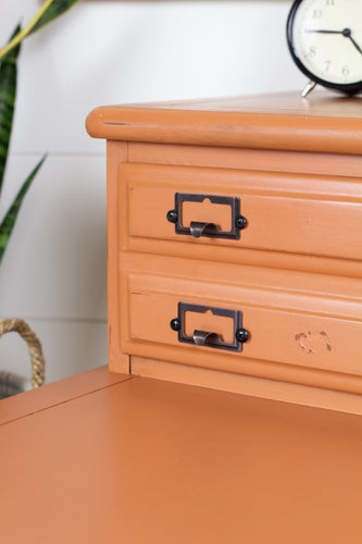 Homestead House Milk Paint - Autumn Leaves