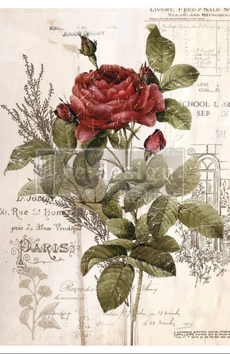 SALE 30% OFF Re-Design With Prima: Botanical Rose