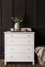 Snowdrop - Fusion Mineral Paint