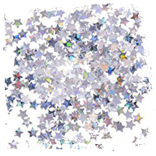 Fleur - White Star Rainbow Glitter 90gm