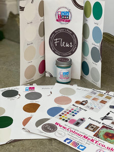 Fleur Eggshell Paint - Sample Pack