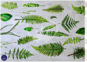 SALE 30% OFF - Stony Fern The House Of Mendes decoupage paper