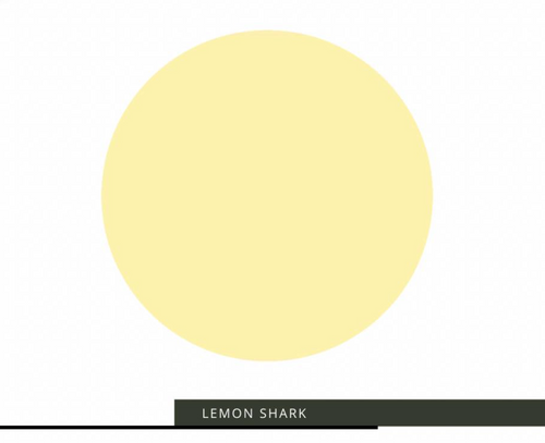 Sale 50% Off - Costal - Lemon Shark: Daydream Apothecary Clay and Chalk Artisian Paint