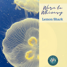 Sale 50% Off - Costal - Lemon Shark: Daydream Apothecary Clay and Chalk Artisian Paint