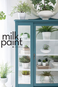 Terrarium - Milk Paint by Fusion