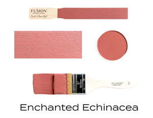Enchanted Echinacea - colourmekt