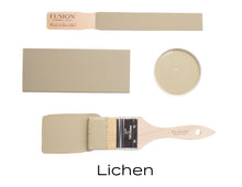 Lichen - Colour Me KT
