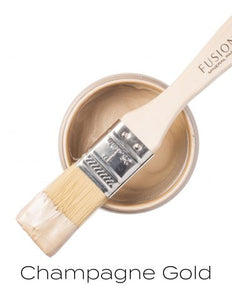 Champagne Gold Metallic Paint 250ml - Colour Me KT