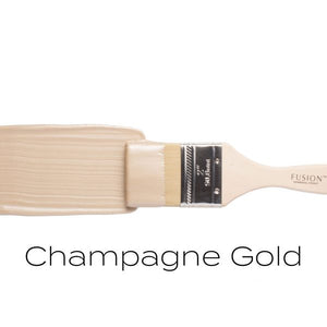 Champagne Gold Metallic Paint 250ml - Colour Me KT