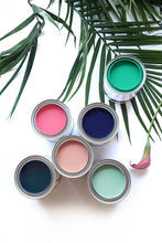 Sale 50% Off - Botanical - Calm Palm : Daydream Apothecary Clay and Chalk Artisian Paint