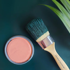 Sale 50% Off - Botanical - Blushing Coral : Daydream Apothecary Clay and Chalk Artisian Paint