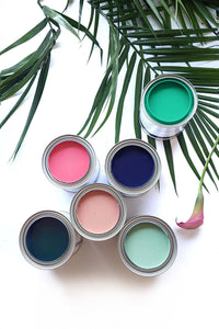 Sale 50% Off - Botanical - Blushing Coral : Daydream Apothecary Clay and Chalk Artisian Paint