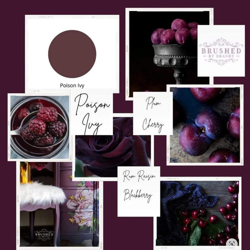 Sale 50% Off - Day Dream Apothecary Paint - Cozy Home Brushed by Brandy - Poison Ivy